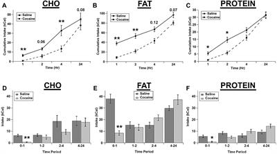 Effects of Cocaine and Fasting on the Intake of Individual Macronutrients in Rats